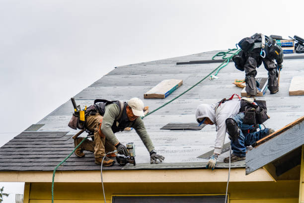 Professional Storm Damage Roof Repair technician working in Madison, NY